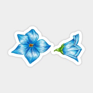 blue bells Sticker